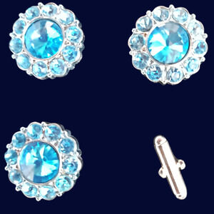 Blanket Pin Number Holder Horse Show Number Set Teal Rondelle